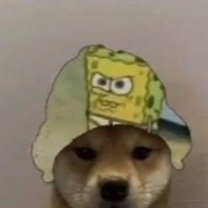 Meet your Posher, Kevin